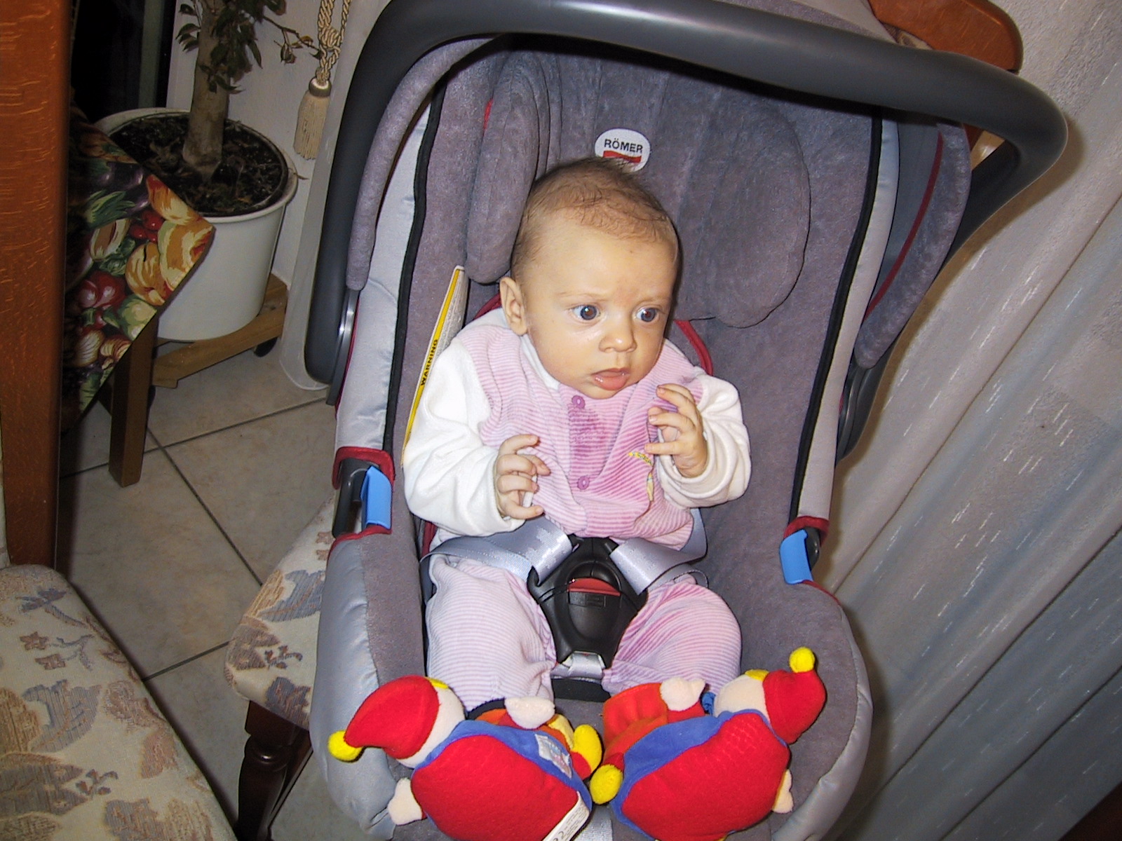 Dominik, Louis Broll